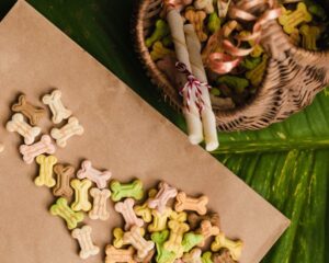 healthy-treats-to-reward-your-dog-kennel-boarding