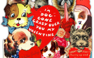 dog-gone-it-please-be-my-valentine-dog-care-near-me