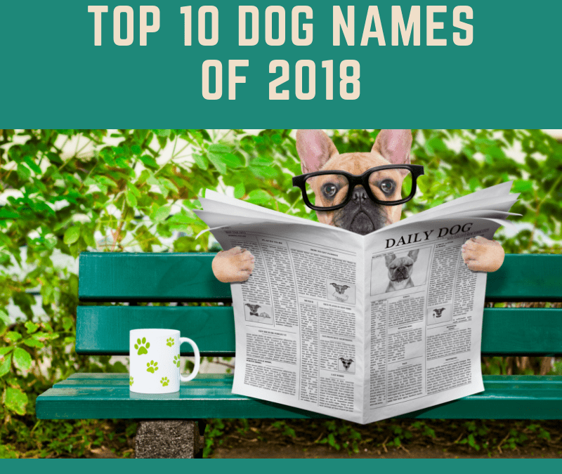 Top Dog Names of 2018