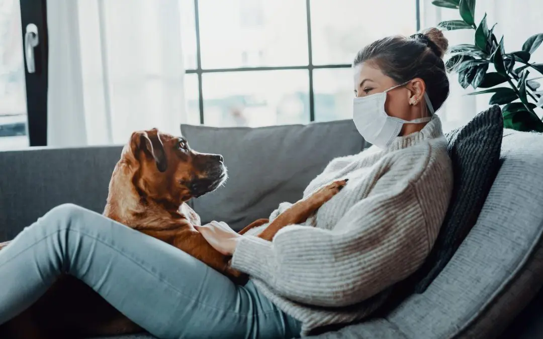 Socializing Your Puppy with Social Distancing