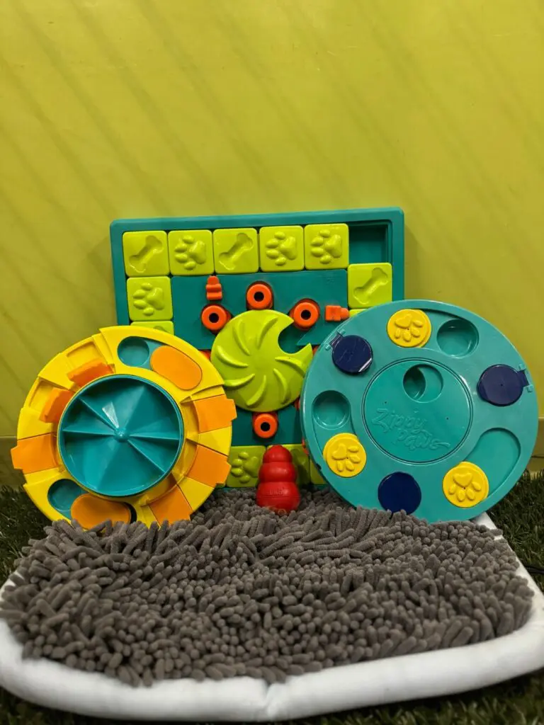 canine-enrichment-puzzles