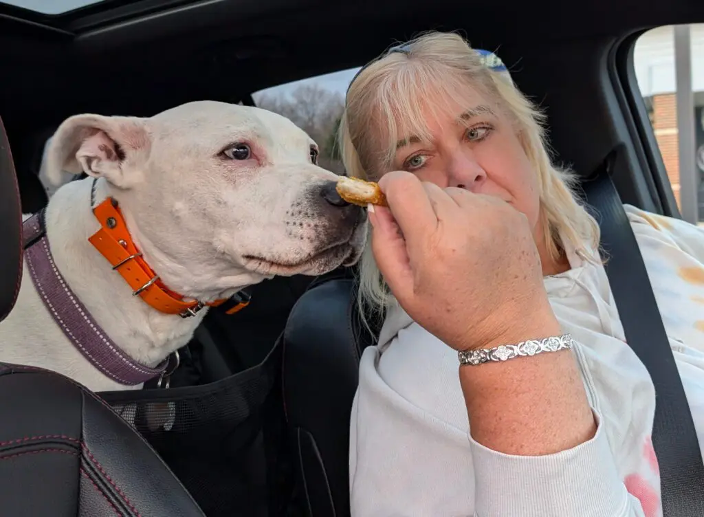 pet-cancer-awareness-michelles-journey-with-her-dog-2