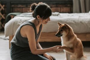 5-ways-to-encourage-positive-behavior-in-your-dog-dog-trainer-near-me