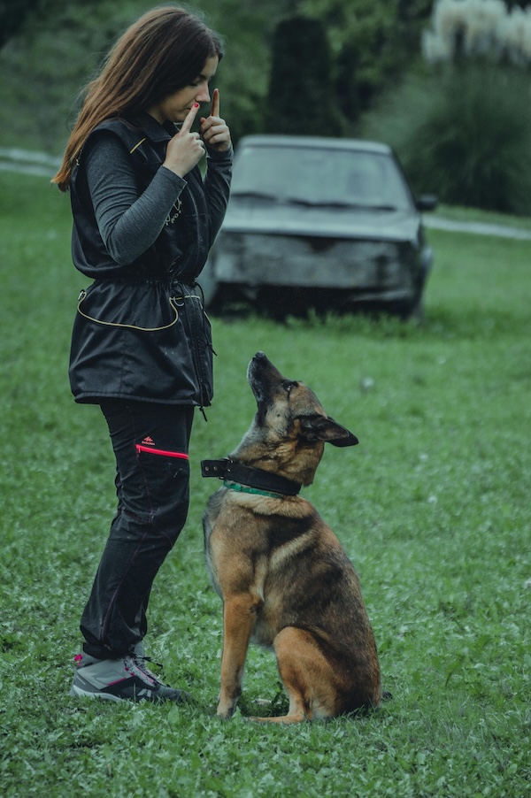 unlocking-the-power-of-professional-dog-training2