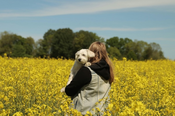 Helping Your Furry Friend Through Spring: Dealing with Dog Allergies