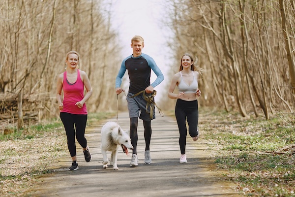 The Importance of Exercise: Keeping Your Dog Fit and Active
