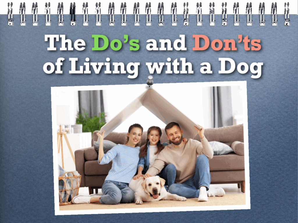 dos-and-donts-cover