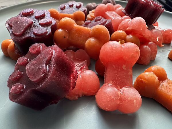 keeping-your-dog-cool-and-hydrated-this-summer-essential-tips-for-pet-safety-whether-at-doggie-daycare-or-at-home-2