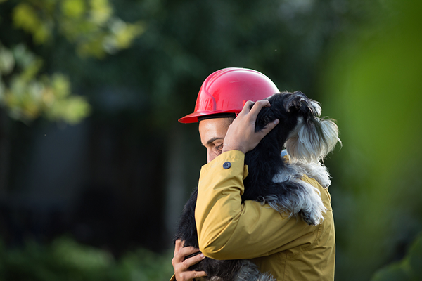 how-dog-training-can-support-fire-safety-plans-for-your-pets