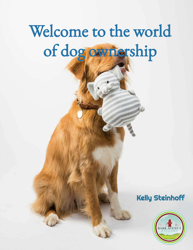 welcome-to-the-world-of-dog-ownership-by-kelly-steinhoff