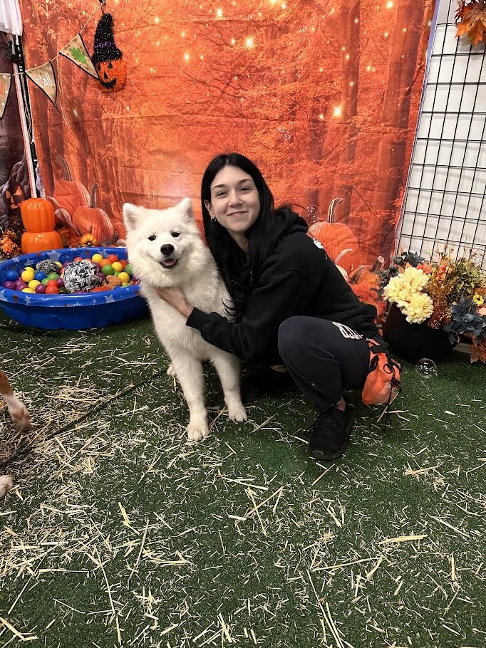 bark-avenue-daycamp-best-dog-daycare-bartlett-illinois